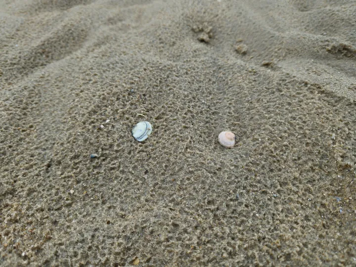 Bredene (België)